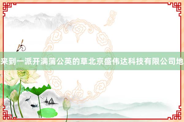 来到一派开满蒲公英的草北京盛伟达科技有限公司地